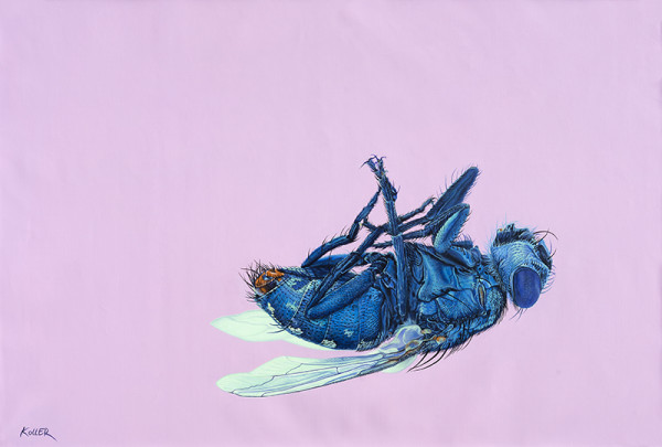 FLY ON PINK, 2014 by HELMUT KOLLER
