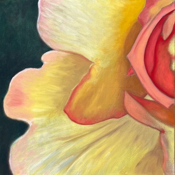 Yellow rose by Sheryl Tempchin, Image 1.