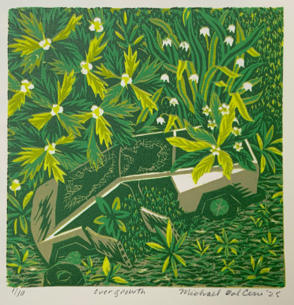 Overgrowth by Michael Dal Cerro