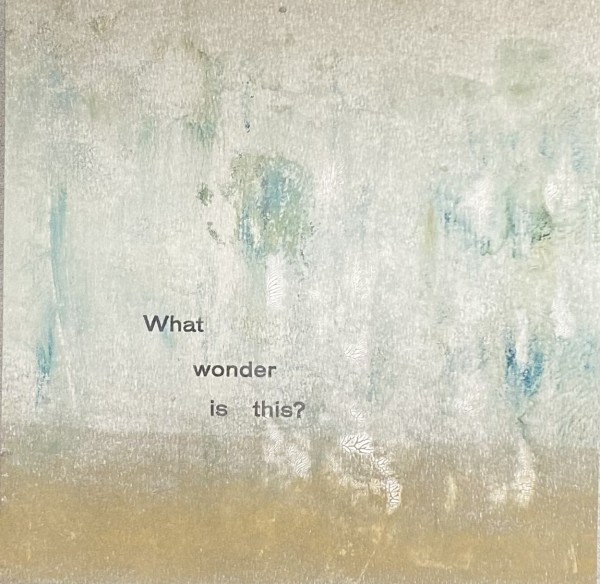 What Wonder by Theresa Esterlund