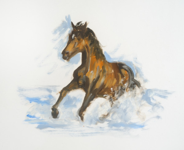 Horse Galloping in Water by Ellen Maidman-Tanner