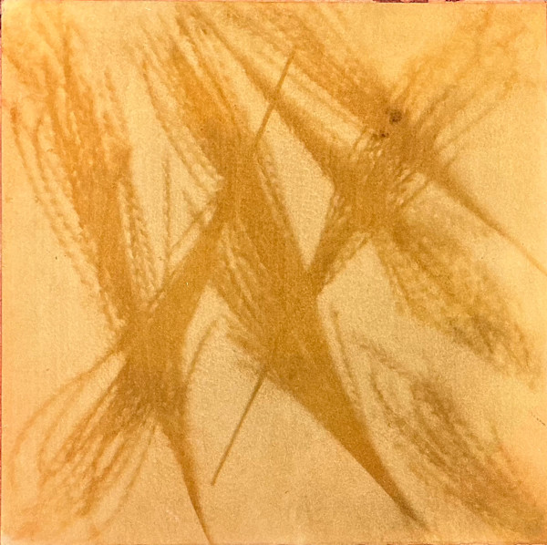 Delightful Grasses by Judy Folkenberg