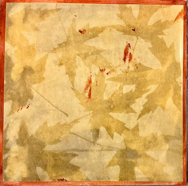 All the Pretty Leaves by Judy Folkenberg