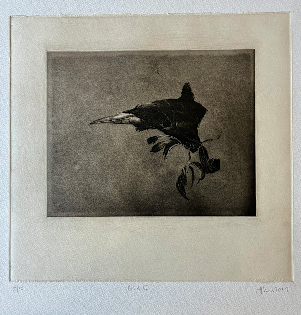 Bird II by Jenny Freestone