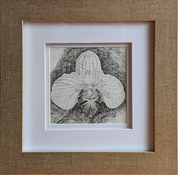 Golden Leo Orchid by Ariane D'Souza