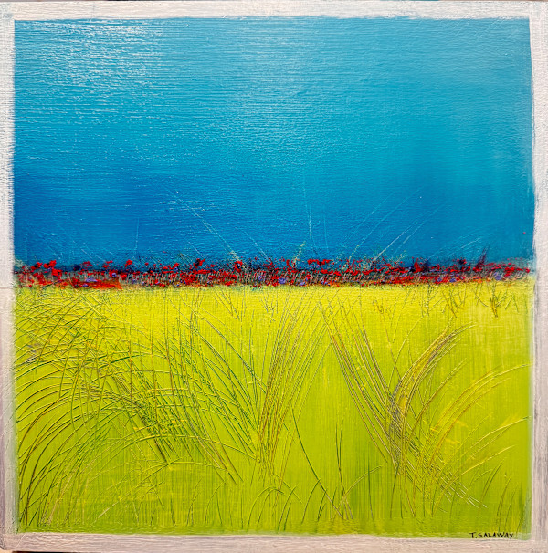 Poppies by Tracey Salaway