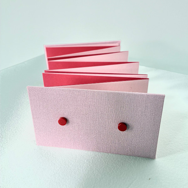 o o (Boobs mini book)