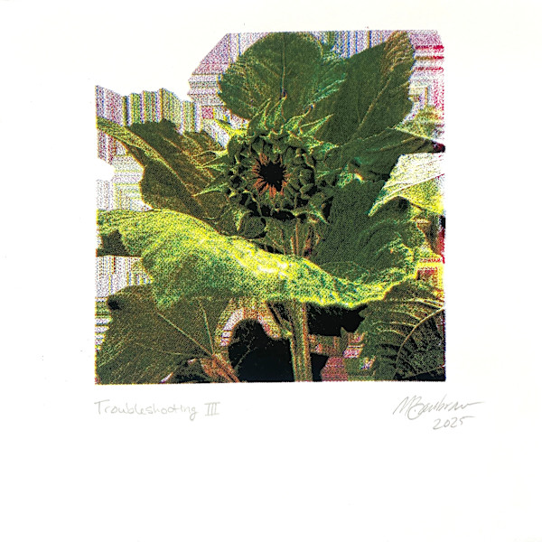 Troubleshooting III by Némesis Zambrano