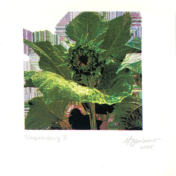 Troubleshooting II by Némesis Zambrano