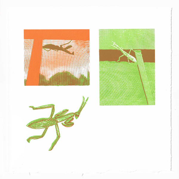 Praying Mantis inside and outside by Brooke Ann Inman