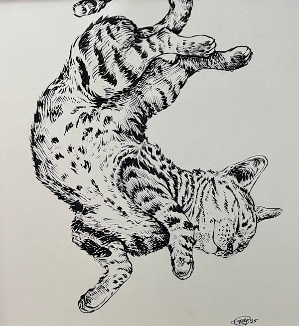 Play Time by Rebecca York