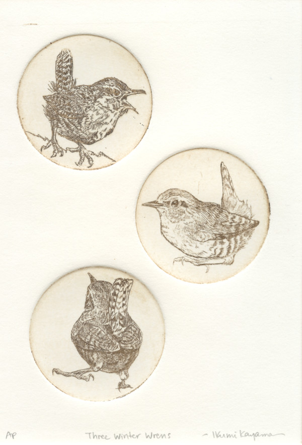 Three Winter Wrens by Ikumi Kayama