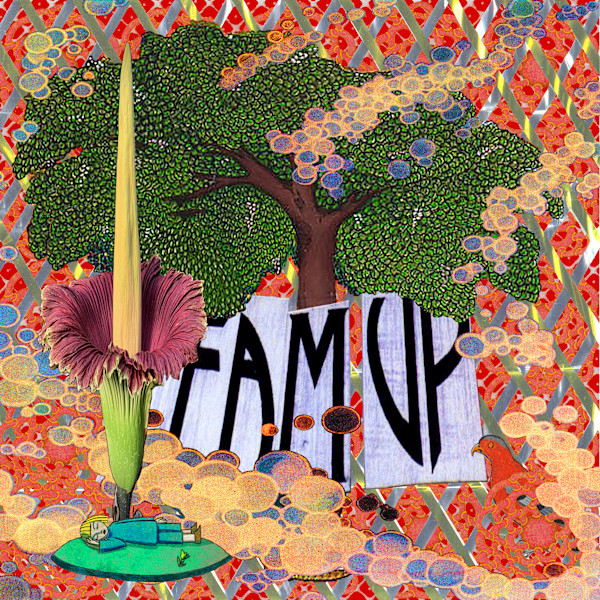 Team Up by Elaine Langerman