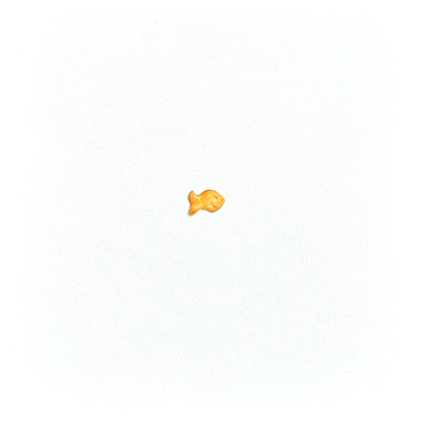 Goldfish, by Cory Oberndorfer