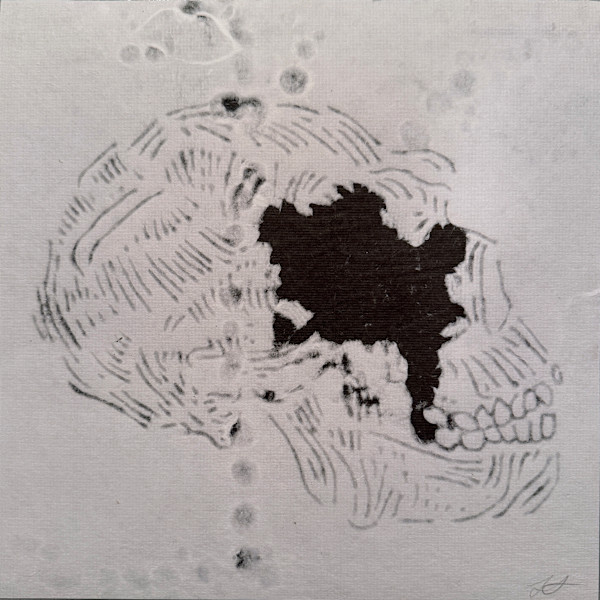 Skull Watermark by Lynn Sures