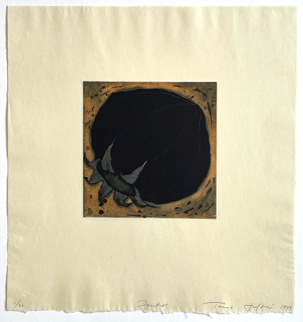 Dentro by Tanja Softic, Image 1.