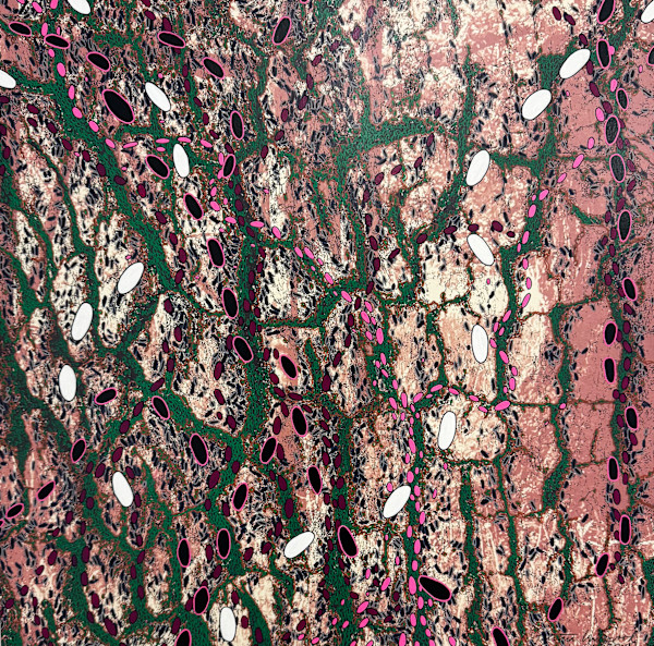 Tree Cells by Patricia Underwood