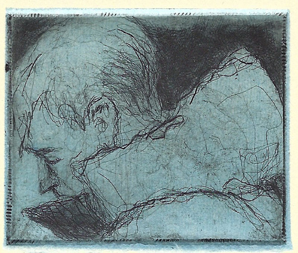 Looking Down by Ellen Verdon Winkler