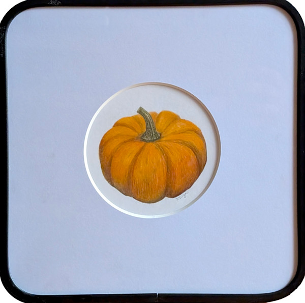 Little Pumpkin by Ariane D'Souza