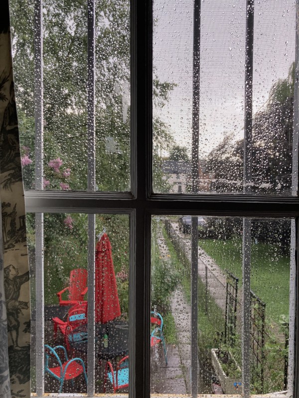 (Rain) Backyard #1 2023