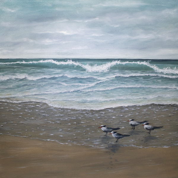 Royal Terns by Victoria Maxwell, Image 1.