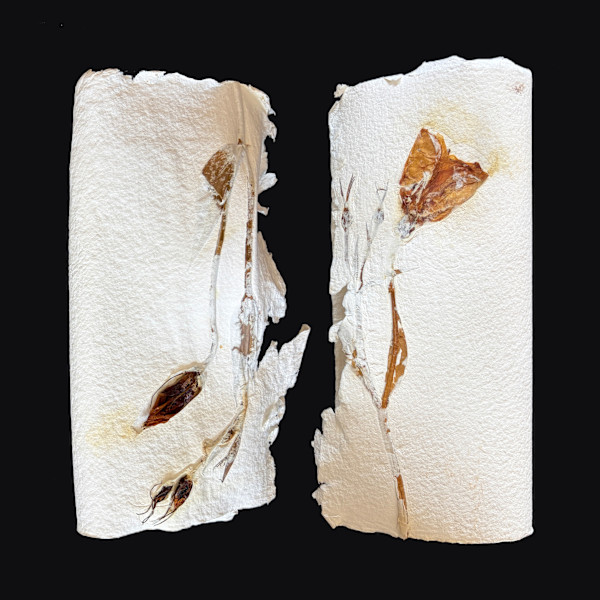 Lilies Couplet Book II by Yvette Grutter, Image 1.