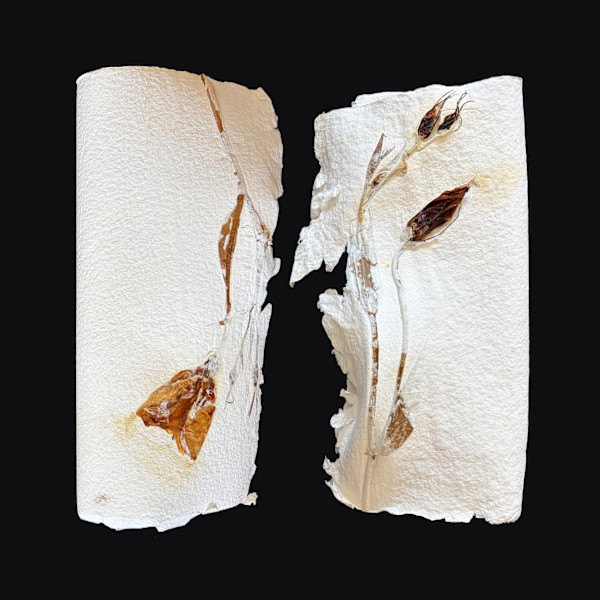 Lilies Couplet Book III by Yvette Grutter, Image 10.