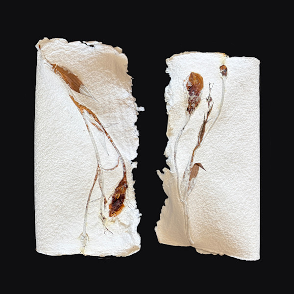 Lilies Couplet Book V by Yvette Grutter, Image 8.