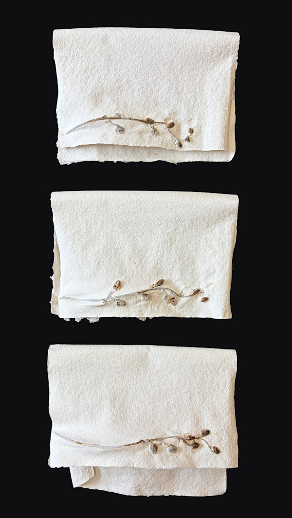 Delphiniums Poem | Tercet II by Yvette Grutter, Image 9.