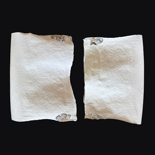 Delphiniums Couplet Book II by Yvette Grutter, Image 11.