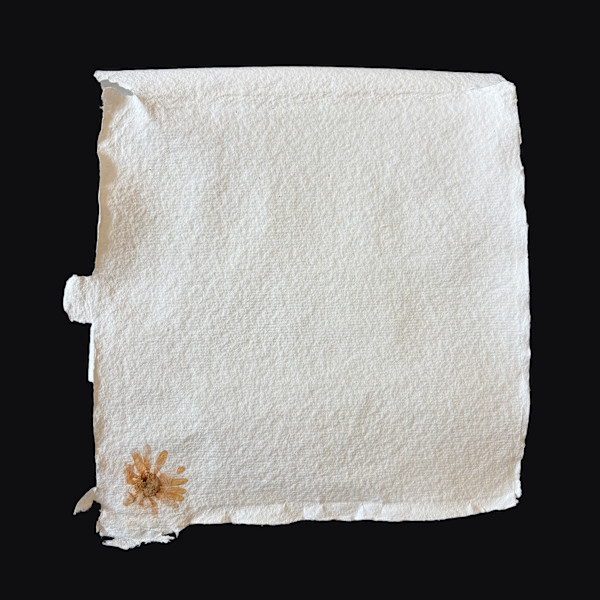 Yellow Flower Book by Yvette Grutter, Image 20.