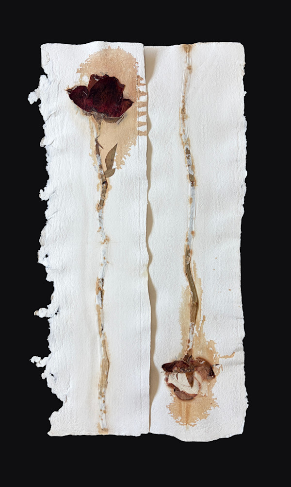 Solace Roses III by Yvette Grutter, Image 1.