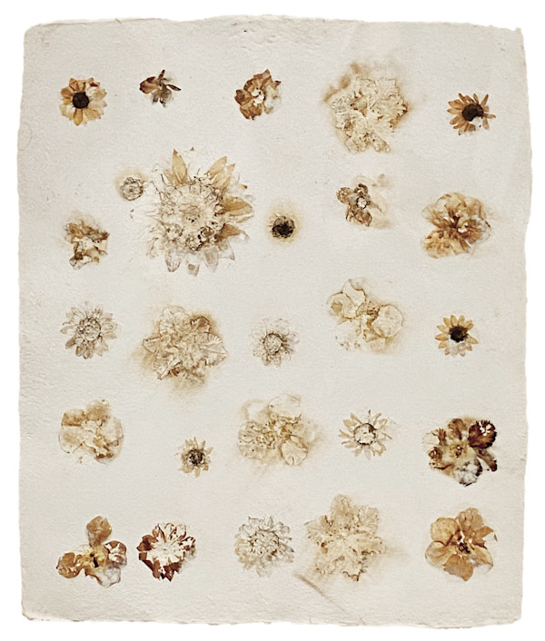 Botany II by Yvette Grutter, Image 3.