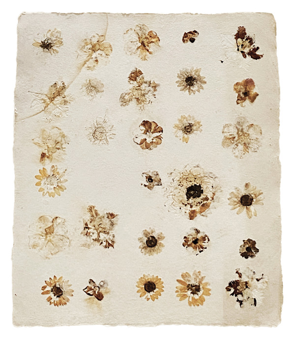 Botany I by Yvette Grutter, Image 3.