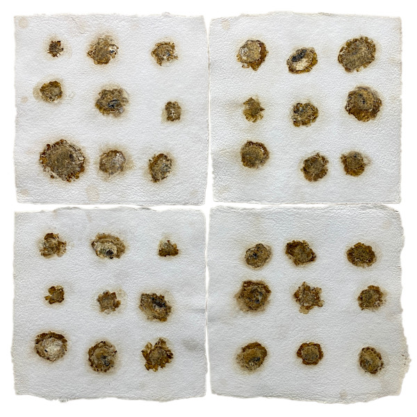Cempasúchil by Yvette Grutter, Image 1.