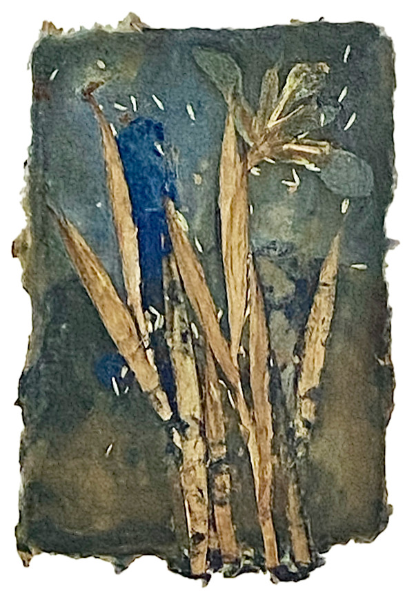 Iris by Yvette Grutter, Image 1.