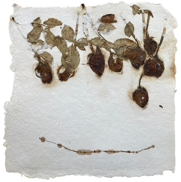 Line by Yvette Grutter, Image 1.