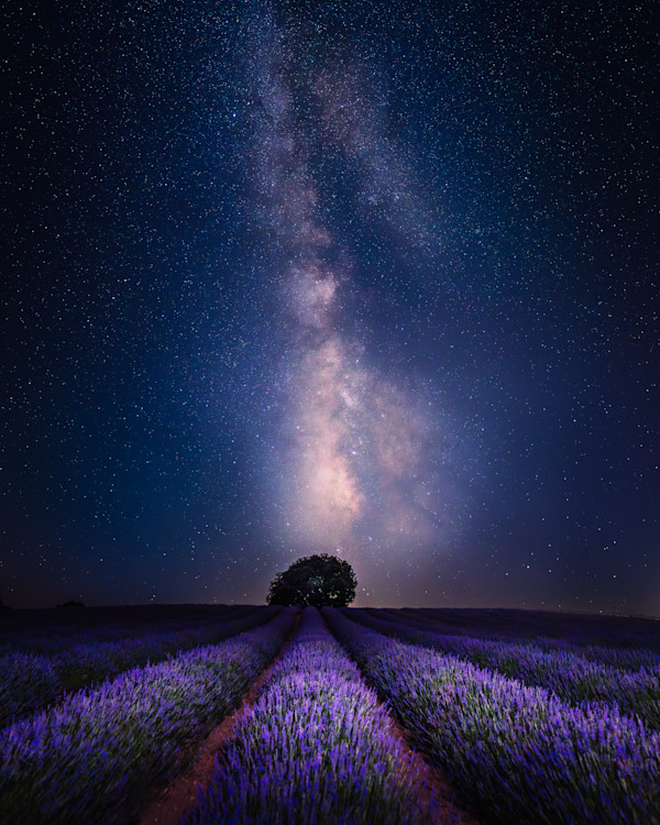 Brihuega - Lavender Fields under the Milky Way by Juan Matorras