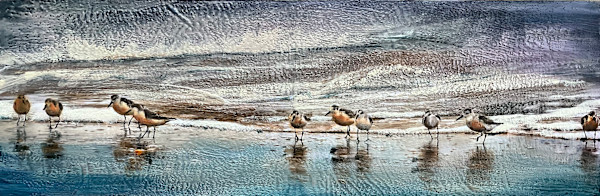 Sanderlings by Barbara Talbott