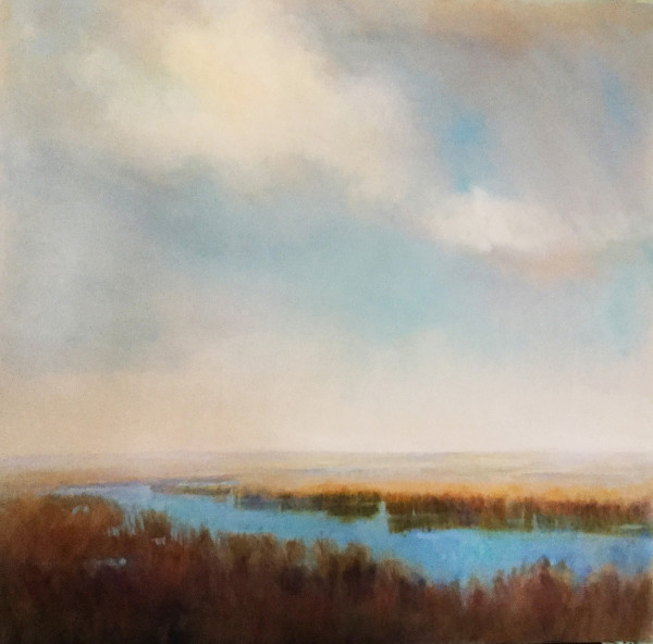 Marsh by Dana Goodfellow
