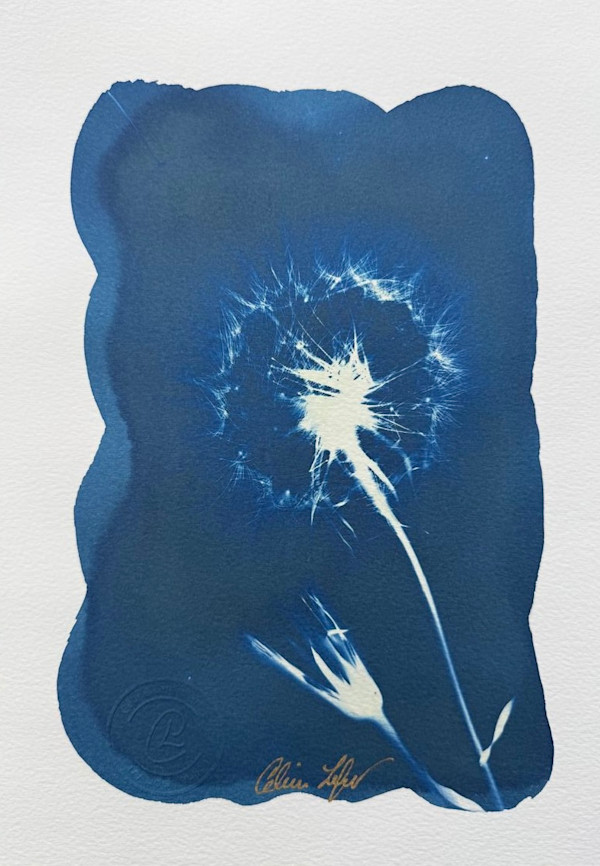 Make a Wish by CELINE LEFORT