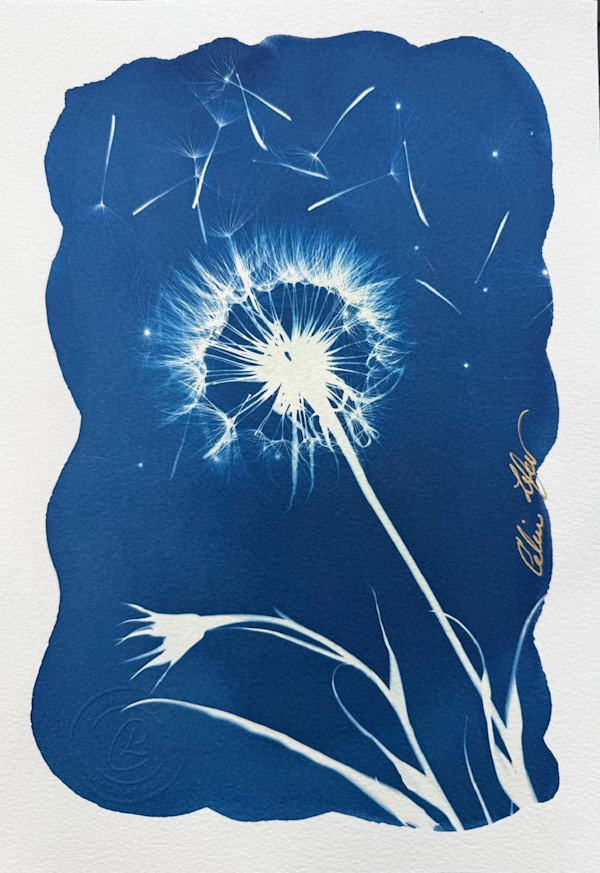 Make a Wish by CELINE LEFORT