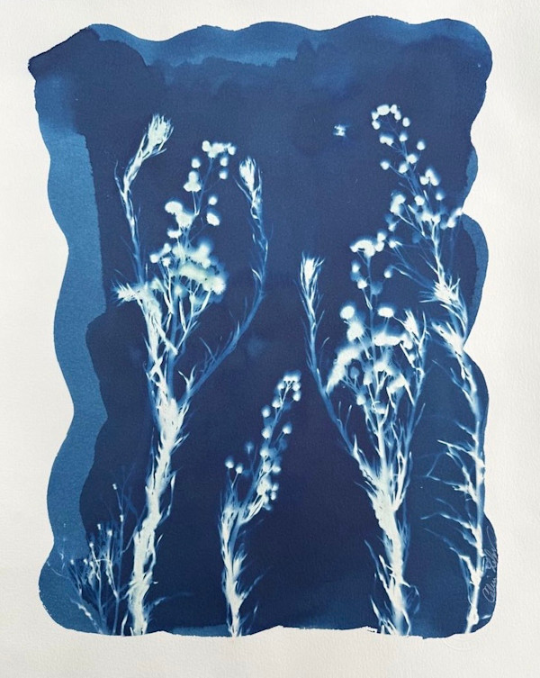 Little Pom-Pom 3 by CELINE LEFORT