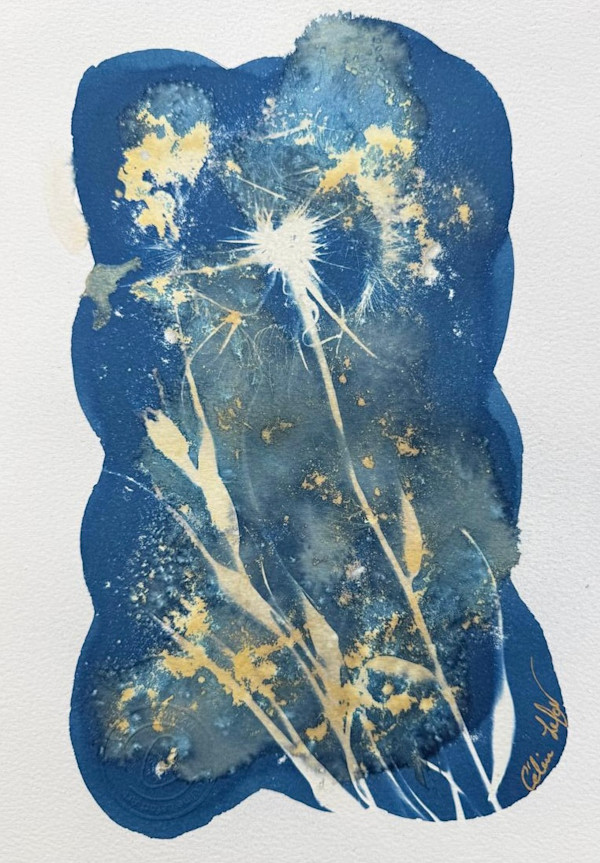 Make a wish by CELINE LEFORT