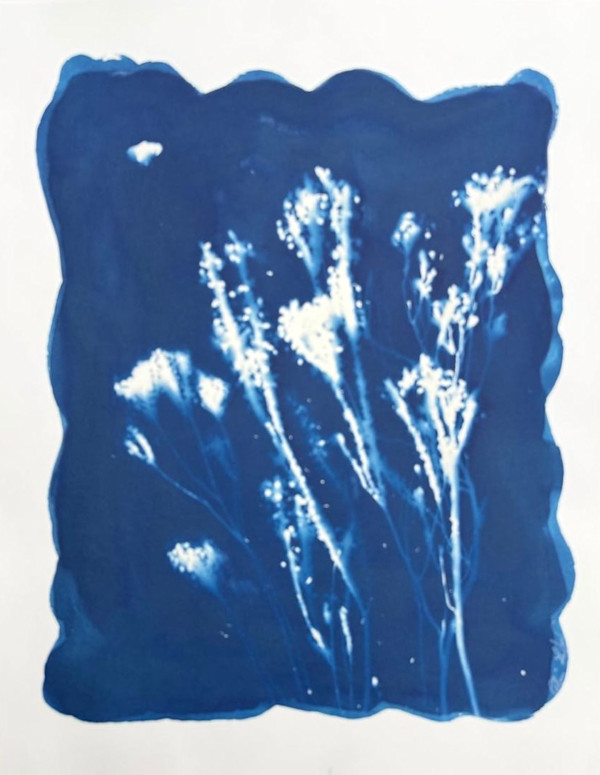 Little balls flowers by CELINE LEFORT