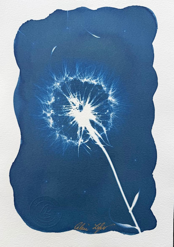 Make a wish by CELINE LEFORT