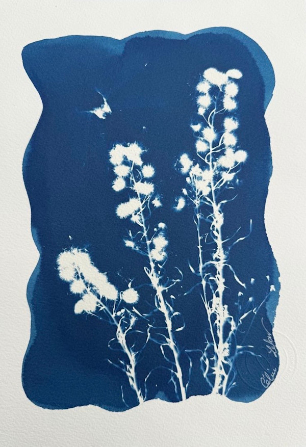 Little Pom-Pom & Scarabe by CELINE LEFORT