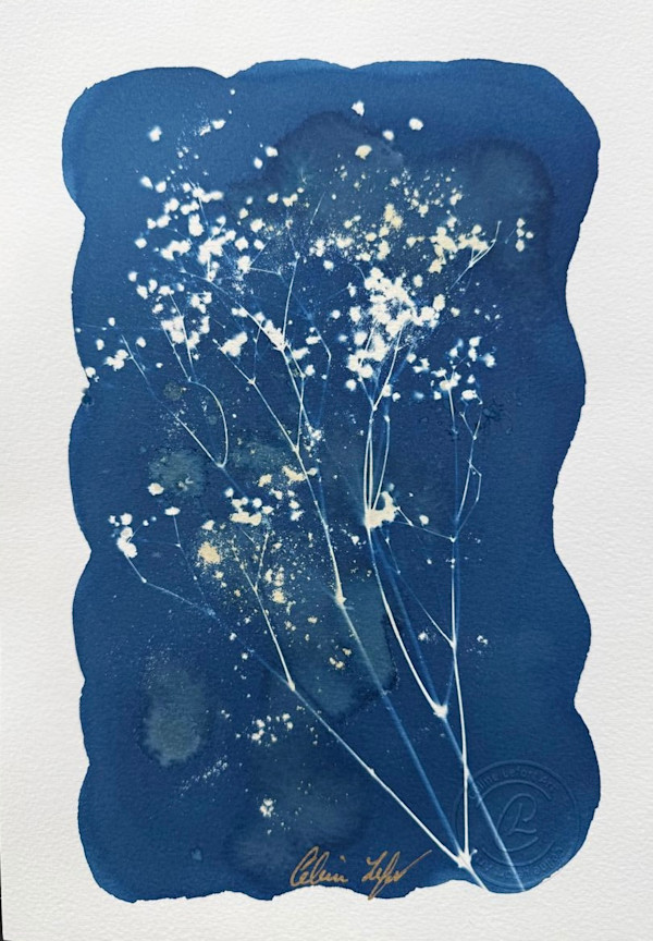 Little Flowers / Petites fleurs by CELINE LEFORT