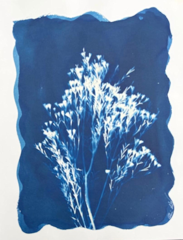 Little Flower by CELINE LEFORT