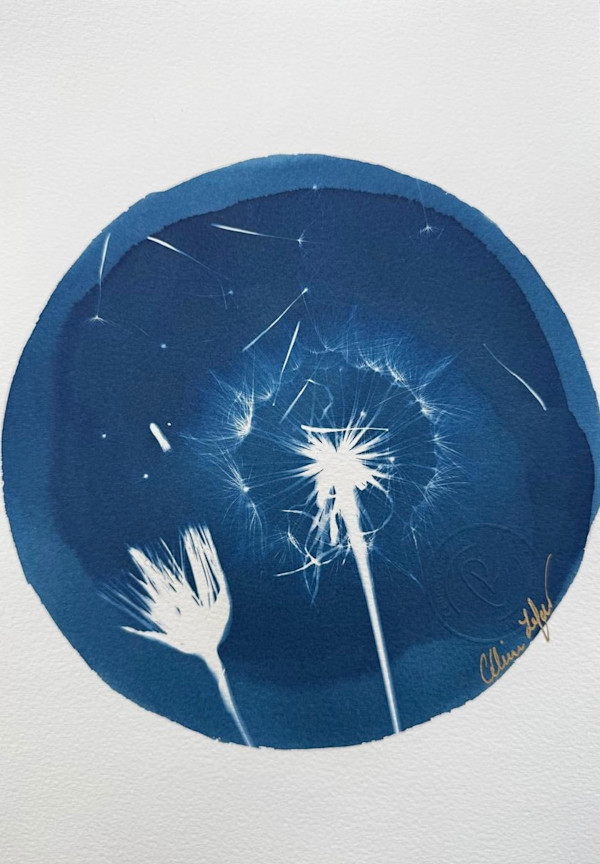 Make a Wish by CELINE LEFORT